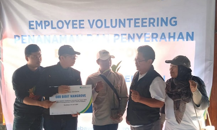 Employee Volunteering Program BPJamsostek Sidoarjo di Ekowisata Mangrove Surabaya