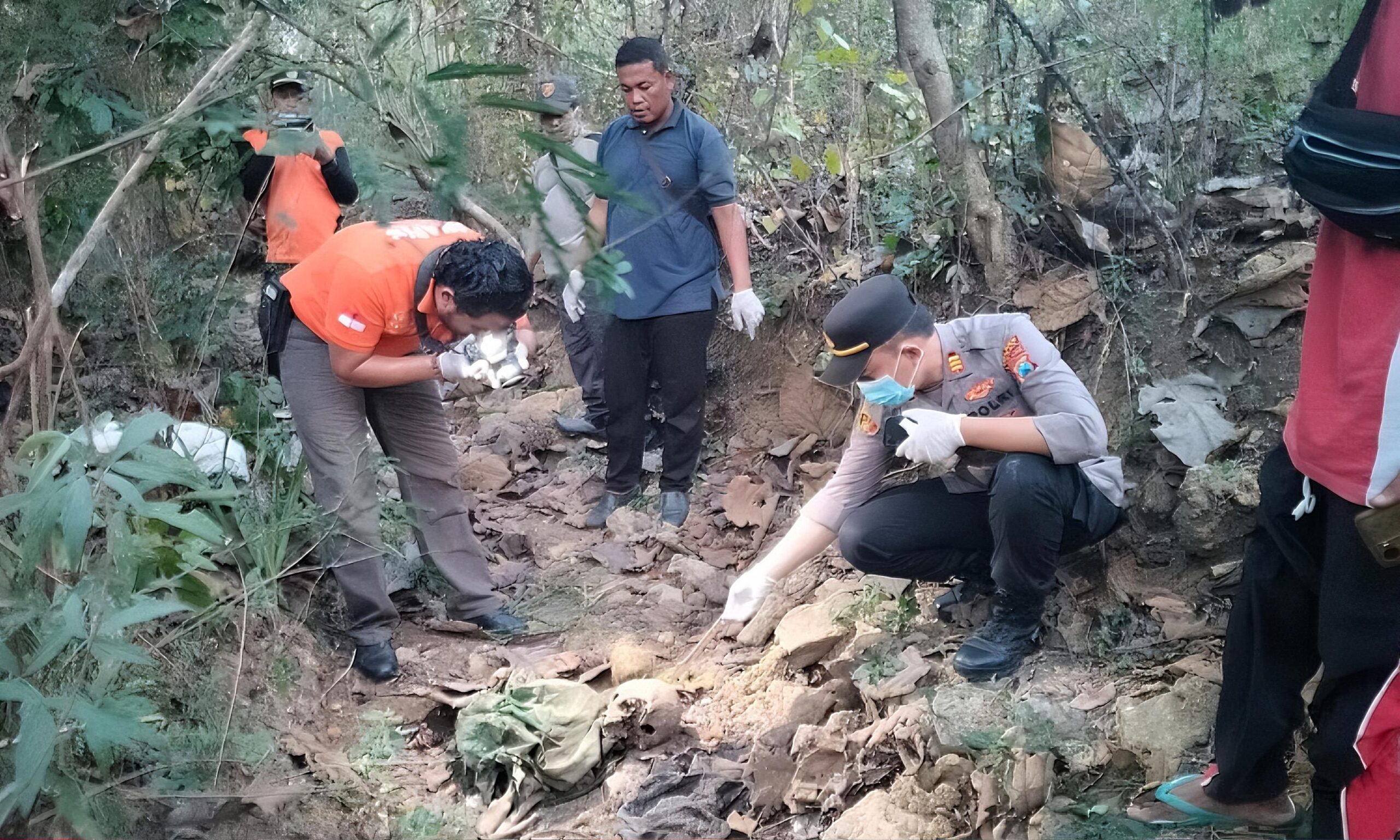 Kerangka Manusia Ditemukan oleh Pencari Biawak di Hutan Tuban, Menciptakan Kegaduhan