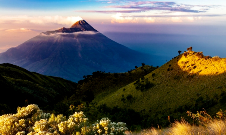 Peran dan Karya Wali Songo dalam Penyebaran Islam di Jawa