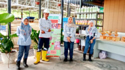 Komunitas ICB Berhasil Mengembangkan Pengolahan Sampah Organik Menjadi Pupuk di Lokasi Tambang Emas Martabe