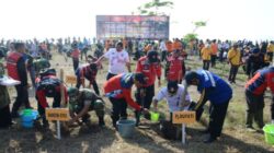 Kodim Cilacap Menanam 1.500 Pohon Cemara Laut di Pantai Teluk Penyu untuk Mengatasi Abrasi