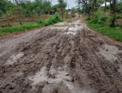 Pemukiman Sreseh Desak Perbaikan Jalan: Musrenbang 2025