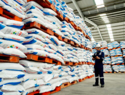 Musim Tanam Kedua: Petrokimia Gresik Jamin Stok Pupuk Subsidi