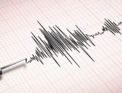 Gempa Selandia Baru dan Potensi Tsunami: Dampak ke RI?