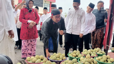 Festival Buah Srikaya: Dukungan Pemerintah Kabupaten Sumenep