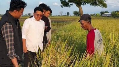 Pemuda Desa Gresik: Awasi Harga Jual Gabah Petani