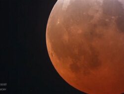 Fenomena Blood Moon Terang di Langit Los Angeles: Video Eksklusif