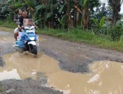 Desa Wotgalih Tegal: Rusak Parah Jalan Sepanjang 5KM