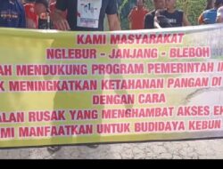 Warga Blora Tanam Pisang di Jalan Rusak: Mendukung Ketahanan Pangan Lokal