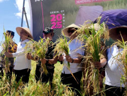 Strategi Bupati Fawait untuk Jember sebagai Lumbung Pangan Nasional
