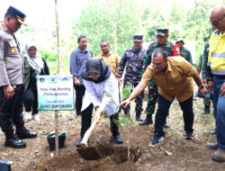 Pelihara Lahan Kritis: Banyuwangi Tanam 66 Ribu Pohon