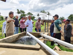 Pompa Air Tenaga Surya: Solusi Pertanian Mandiri di Banyuwangi