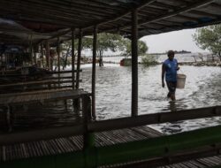 Peringatan Banjir Rob di Berbagai Wilayah RI Minggu Ini
