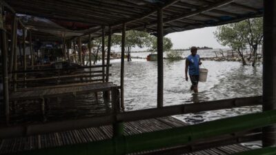 Peringatan Banjir Rob di Berbagai Wilayah RI Minggu Ini