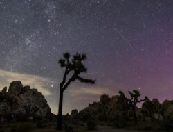 Daftar Fenomena Astronomi Mei 2025: Hujan Meteor dan Micromoon