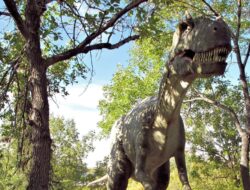 Asal Usul Nenek Moyang T-rex: Dari Asia ke Amerika