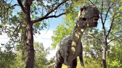Asal Usul Nenek Moyang T-rex: Dari Asia ke Amerika