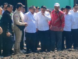 Pengusaha Rumput Laut Sambut Koperasi Merah Putih: Dukung Akses Ekspor