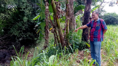 Erosi Sungai Krupak di Desa Pagerbarang Tegal: Dampak Terkikis pada Pertanian dan Pekarangan
