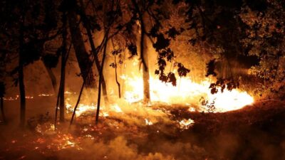 Peringatan Kebakaran Hutan Saat Kemarau: Sorotan BMKG di Riau