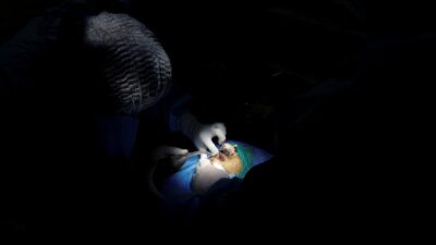 Potensi Penyebaran Jamur Mematikan karena Perubahan Iklim