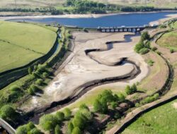 69-Year Worst Drought Hits England: Causes, Impacts, and Solutions