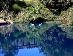 Peristiwa Zat Pewarna di Danau Sao Paolo: Warna Memudar