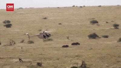 Petualangan Giring Badak dengan Helikopter di Kenya