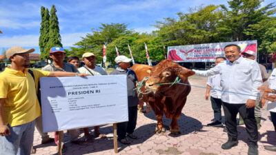 Prabowo kurbankan sapi 1,16 ton di Situbondo: Inisiatif untuk warga terpencil