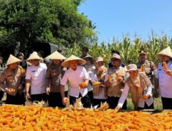 Uji Petik Ketahanan Pangan di Maros: Tantangan dan Solusi