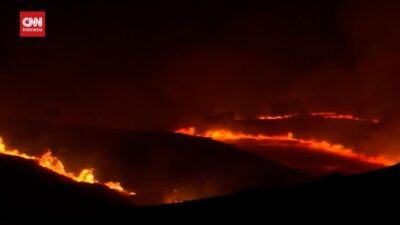 Kebakaran Hutan Turki: 50 Ribu Orang Terpaksa Mengungsi