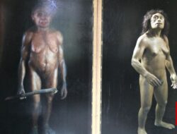 Batu Misterius Ungkap Keberadaan Manusia Hobbit Indonesia