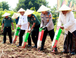 Polres Gresik Gandeng Ponpes Tanam Jagung 15 Hektare: Dorong Kemandirian Pangan