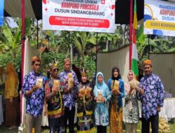 Festival UMKM Desa Sindangbarang Cilacap: Saleh Pisang Kukus Go International!
