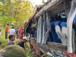 Bus Rombongan RS Bina Sehat Jember Kecelakaan: Delapan Tewas di Jalur Bromo Probolinggo